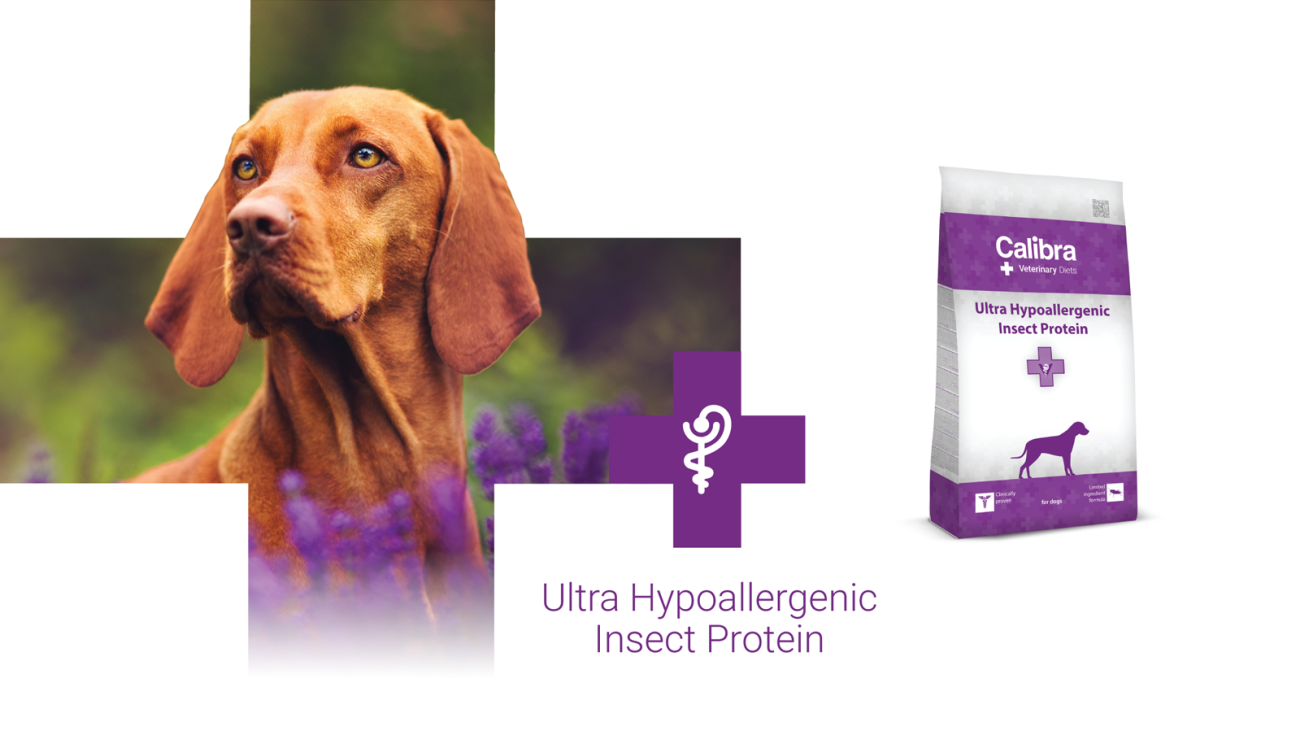 Calibra UHIP pro www - uvod2 - 3-22