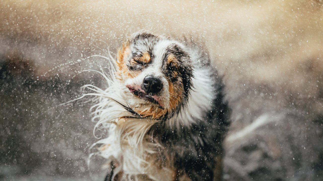 DSC_4924_mrackova.com